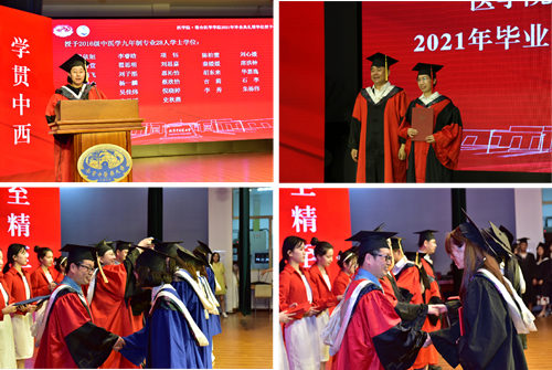 图片3_副本.png 图片3_副本.png